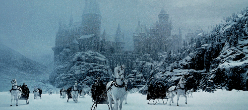 aurrorpotter - “One morning in mid-December, Hogwarts woke to find...