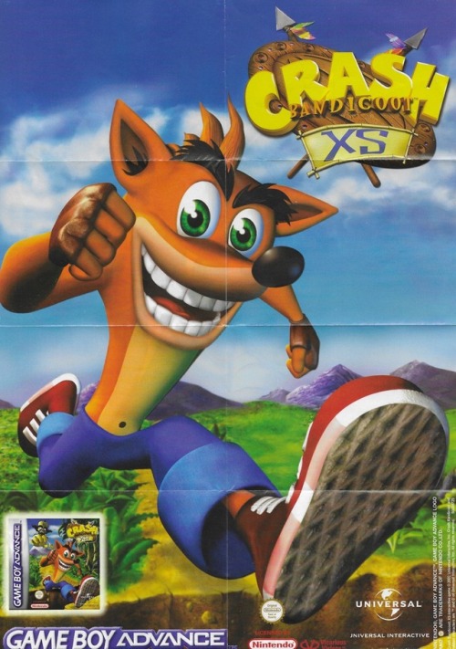 video-games-girls-play-to - Crash Bandicoot/Spyro poster