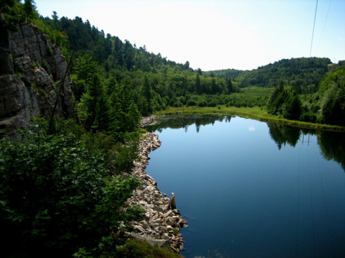 forestmood - ELLIOT LAKE 2006 by Emma-O Productions
