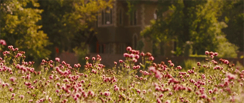 sixpenceee - A compilation of calming floral/nature gifs. Here...