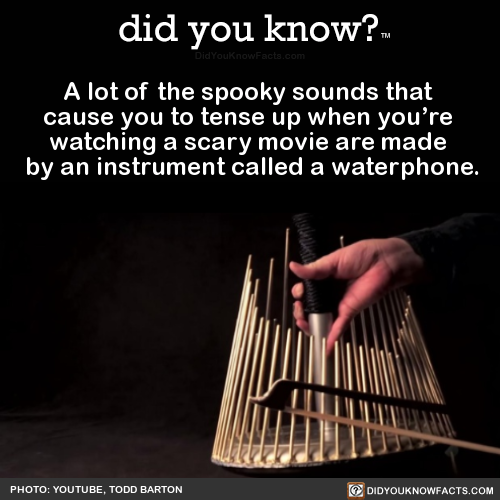 a-lot-of-the-spooky-sounds-that-cause-you-to