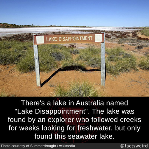 mindblowingfactz - There’s a lake in Australia named “Lake...