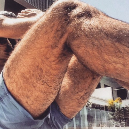 legman2013:gorgeous hairy legs and thigs sexy pic