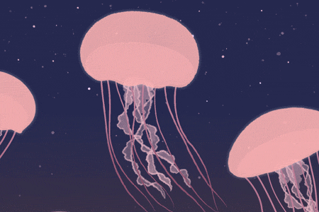 alyssascottart:Jellyfish*refresh the page if not in sync*