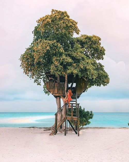 tentree - Treehouse goals! 