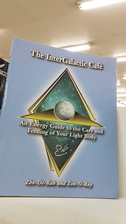 shiftythrifting - A guide to feeding your astral form, a most...