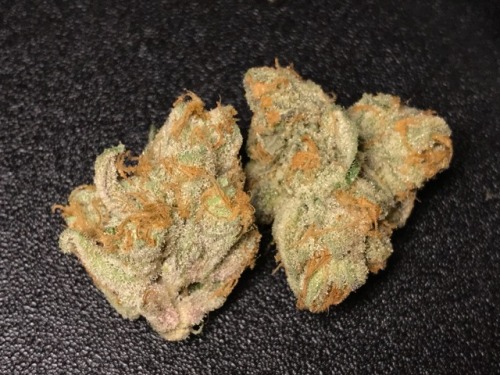 dewaxed - Couple of White Tahoe Cookies nugs that were gifted to...