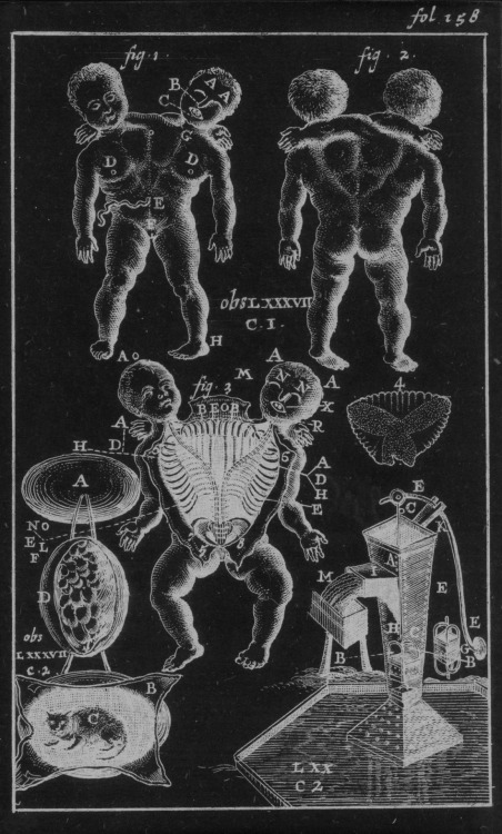 chaosophia218 - Anatomical illustrations from “Collectanea...