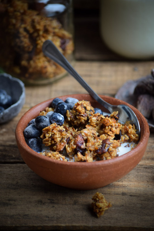 hoardingrecipes - Dried Fig, Millet, and Flaxseed Granola
