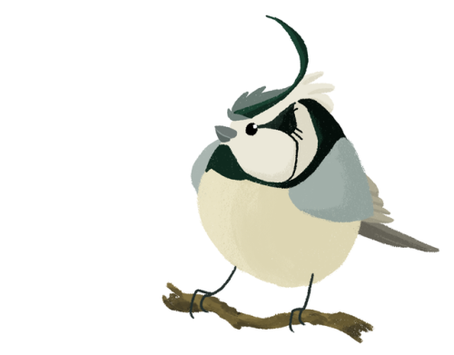 dailybirddrawings - Day 342 - Bridled Titmousechillin on mah...
