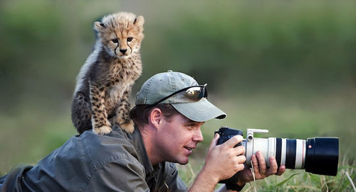 awesome-picz - Reasons Why Being A Nature Photographer Is The...