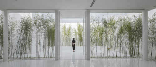 architorturedsouls - Bamboo Forest on the Roof / V STUDIOph - Jin...