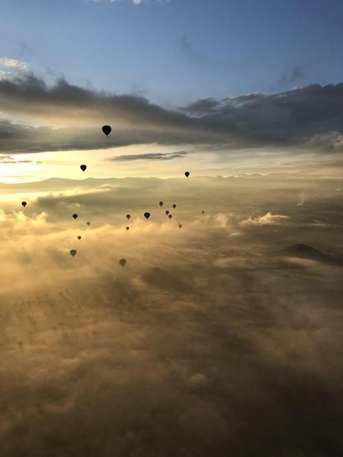 thebeautifuloutdoors - I took an early morning hot air balloon...