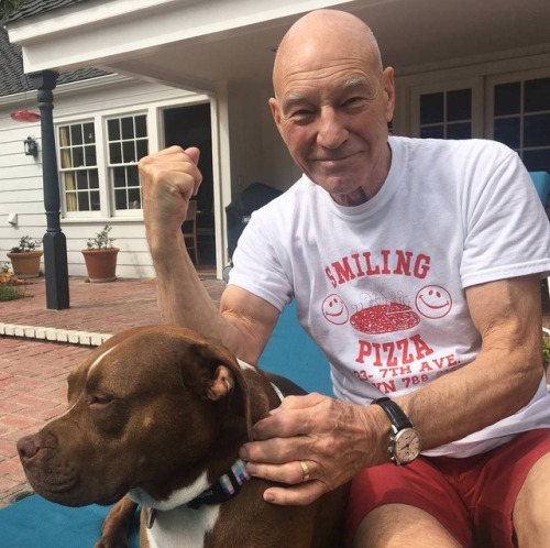 awwww-cute - Sir Patrick and his foster Ginger. (Source - ...