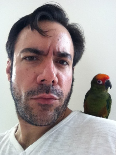 quieroolerlo:Dean Chalupa, my conure, wants to be in movies...