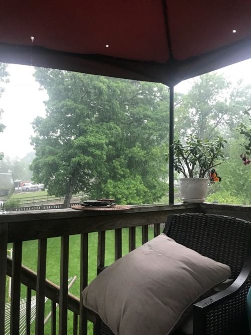 auntiemoth - I’m living for this thunderstorm right now!! 