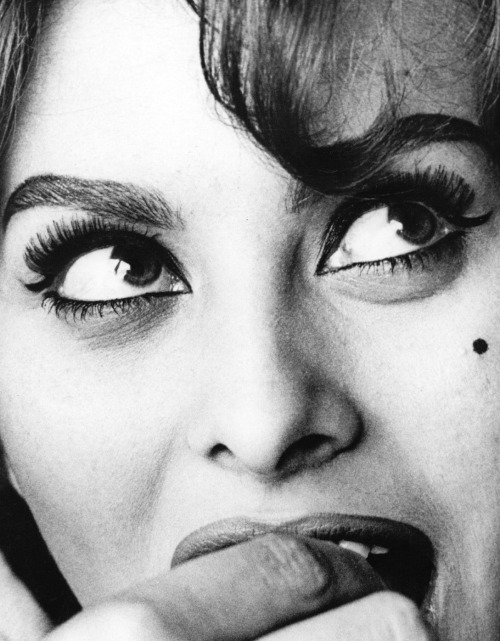 summers-in-hollywood - Sophia Loren, 1960
