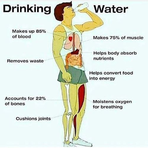 fitnessguru9278 - sashacoki - Drinking Waterjoin our free...