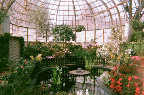 andantegrazioso - Chicago botanical garden | jamiepaul ...