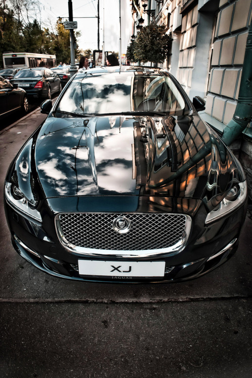 automotivated - Jaguar Set (by Fedor Shmidt)