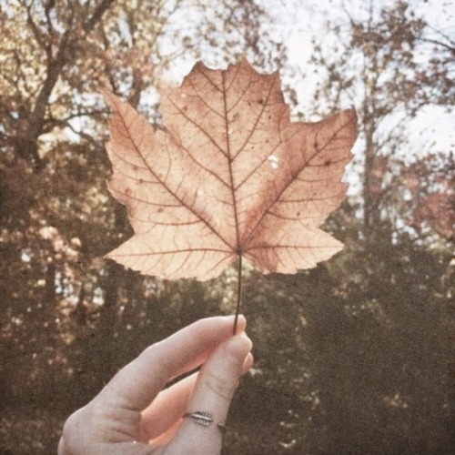 taylorzwift - moodboards - taylor + fall“do you remember the 28th...