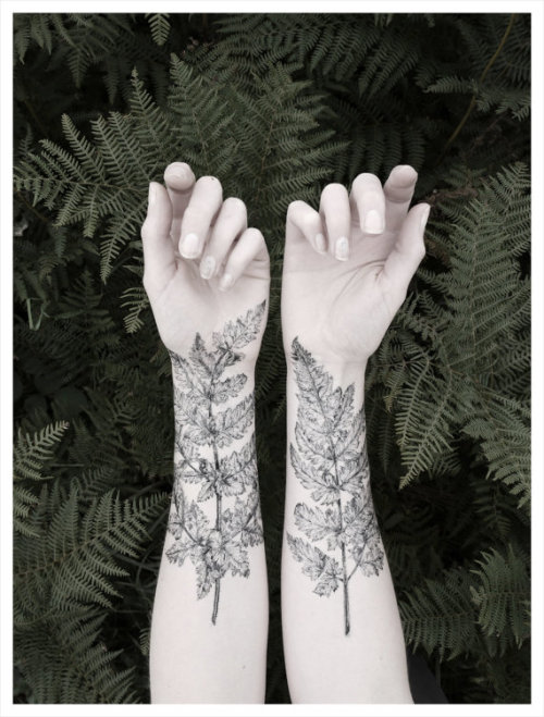lesstalkmoreillustration - Nature Temporary Tattoo Sets Designed...