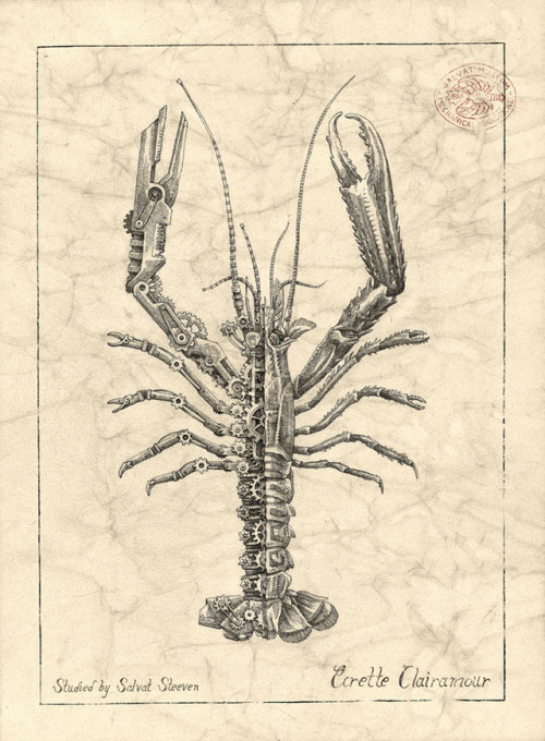 faithistorment - Biomechanical Illustrations of Crustaceans by...