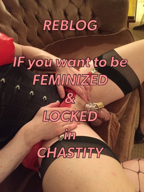 chastity-queen:REBLOG if you want chastity and feminization....