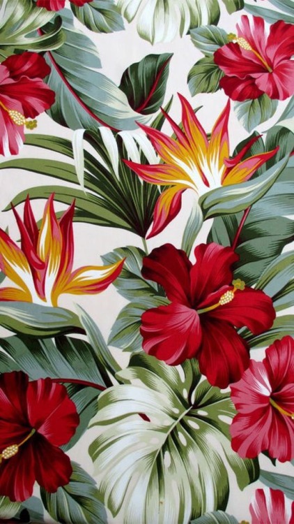 tumblr background flowers - HD Desktop Wallpapers | 4k HD