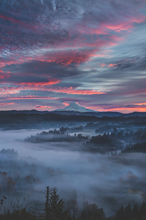 visualechoess - Sandy Valley Fog & Sunrise by -  Mitch...