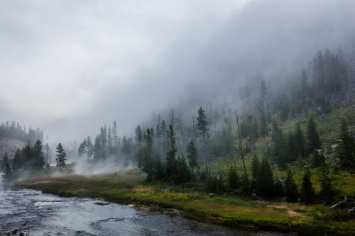 euph0r14 - nature | Morning haze | by neupeters |...