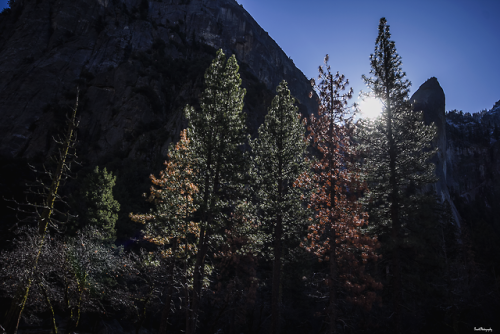 Winter in Yosemite | GarettPhotography