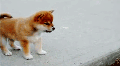 64bitwar:this is stomp dog it shows up to stomp away sadness