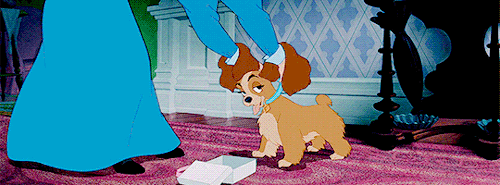 disneyfeverdaily - Lady and The Tramp (1955) dir. Clyde Geronimi,...