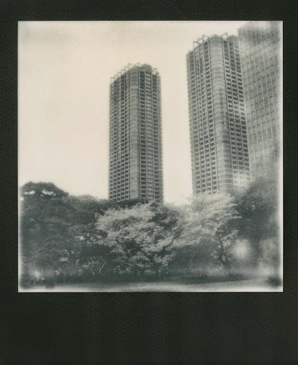 arterialtrees - Nobuyoshi Araki - Sakura