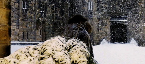 aurrorpotter - “One morning in mid-December, Hogwarts woke to find...