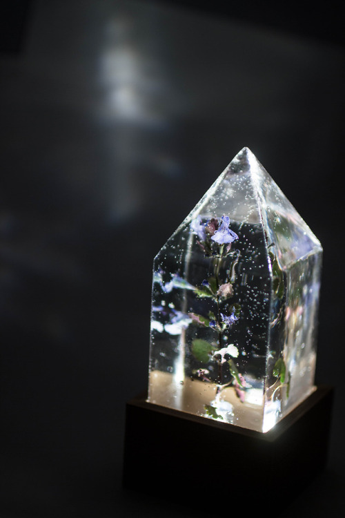mossofthewoodsjewelry - Floral Prism Light Giveaway!Hey folks!...