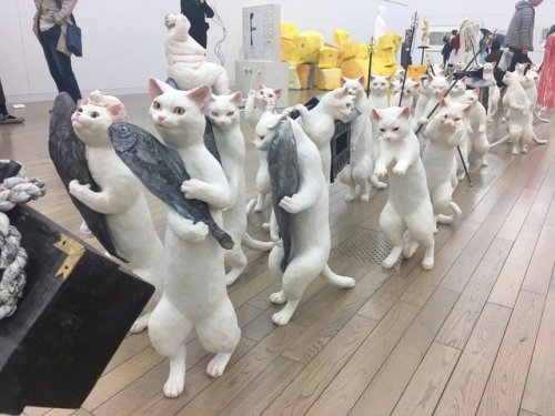 taishou-kun:Sugiyama Airi 杉山愛莉Royal cats procession 大猫行列 -...