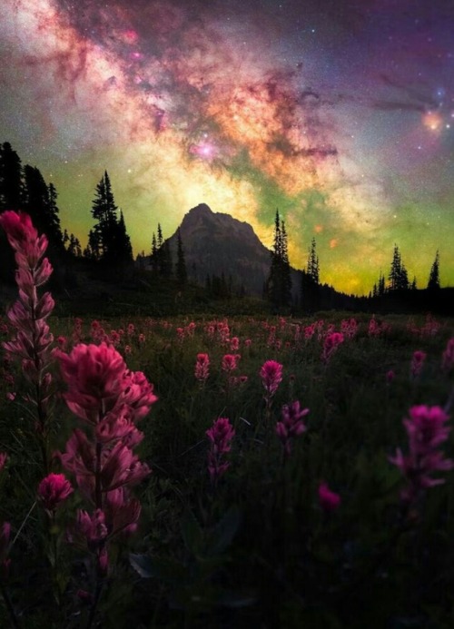 landscape-lunacy - Chinook Pass, Washington - by Derek Culver