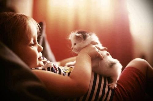 kittehkats - Kids & Cats