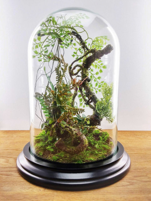 lesstalkmoreillustration - Handcrafted Forest Terrariums By...