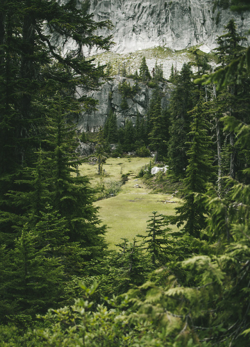 90377:Meadow and Mountain by Graham Spencer // Mines of the...