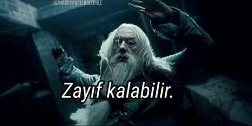 emirzisgood - Harry Potter.
