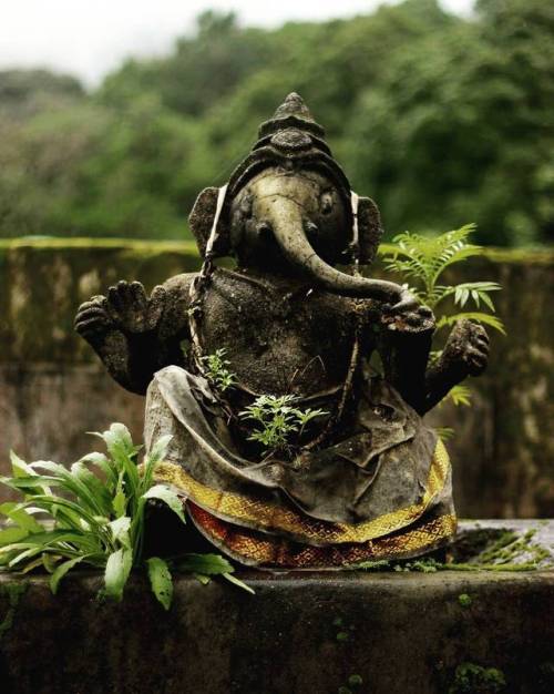 hinducosmos - Ganesha Idol in Nature (via Instagram - neerajneeruz)