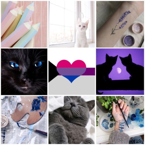 lgbtqia-moodboards - Demisexual Biromantic moodboard with cats...