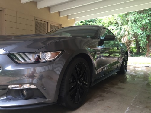 2015 Performance Pack Ecoboost.First ‘stang and I love...
