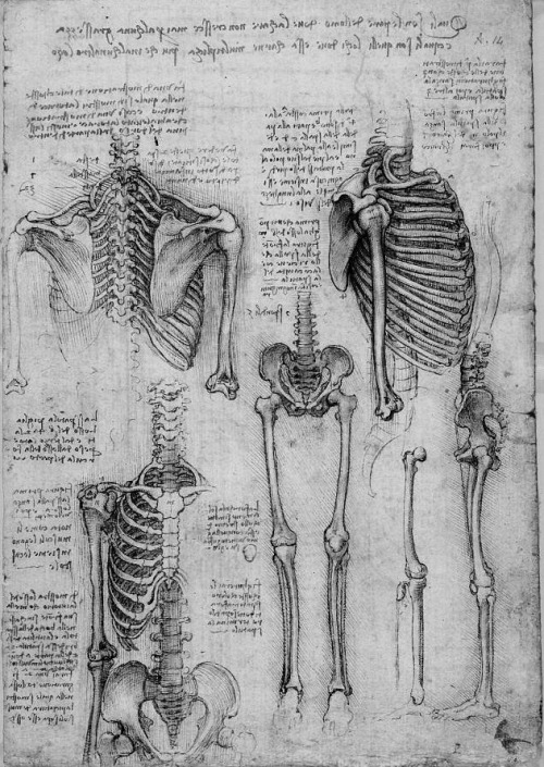 chaosophia218 - Anatomical studies and drawings by Leonardo da...