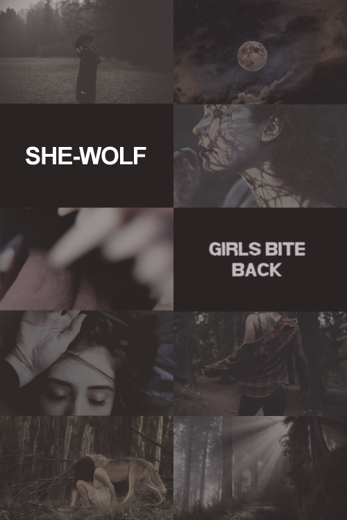when the snow falls and the wind blows the lone wolf dies but the pack survives. - Page 2 Tumblr_o0oom1IwrI1v2e82fo1_500