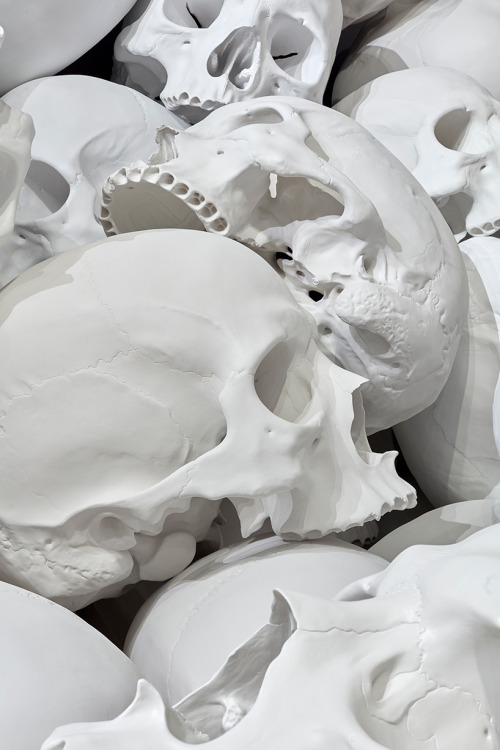 contemporary-art-blog:Ron Mueck, 100 sculpted skulls, The...