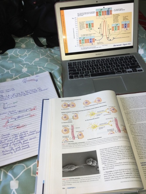 journeyintomedicine:Cramming in a bit of study for my systemic...